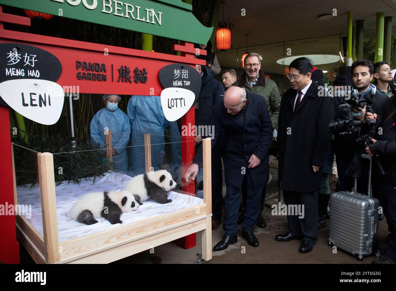 Panda-Zwillinge, Taufpatenschaft im Zoologischen Garten, Berlin, 06.12.2024 Kai Wegner Regierender Bürgermeister von Berlin und S.E. Herr Deng Hongbo Außerordentlicher und bevollmächtigter Botschafter der Volksrepublik China in der Bundesrepublik Deutschland bei der feierlichen Namensverkündung des Panda-Nachwuchses im Zoologischen Garten Berlin. Die Namen der Panda-Zwillinge lauten Leni und Lotti, ihre offiziellen chinesischen Namen sind Meng Hao und Meng Tian. Die chinesische Tradition erhalten die am 22.08.2024 geboren Pandabys ihre Namen 100 Tage nach der Geburt. Berliner Zoo Stockfoto