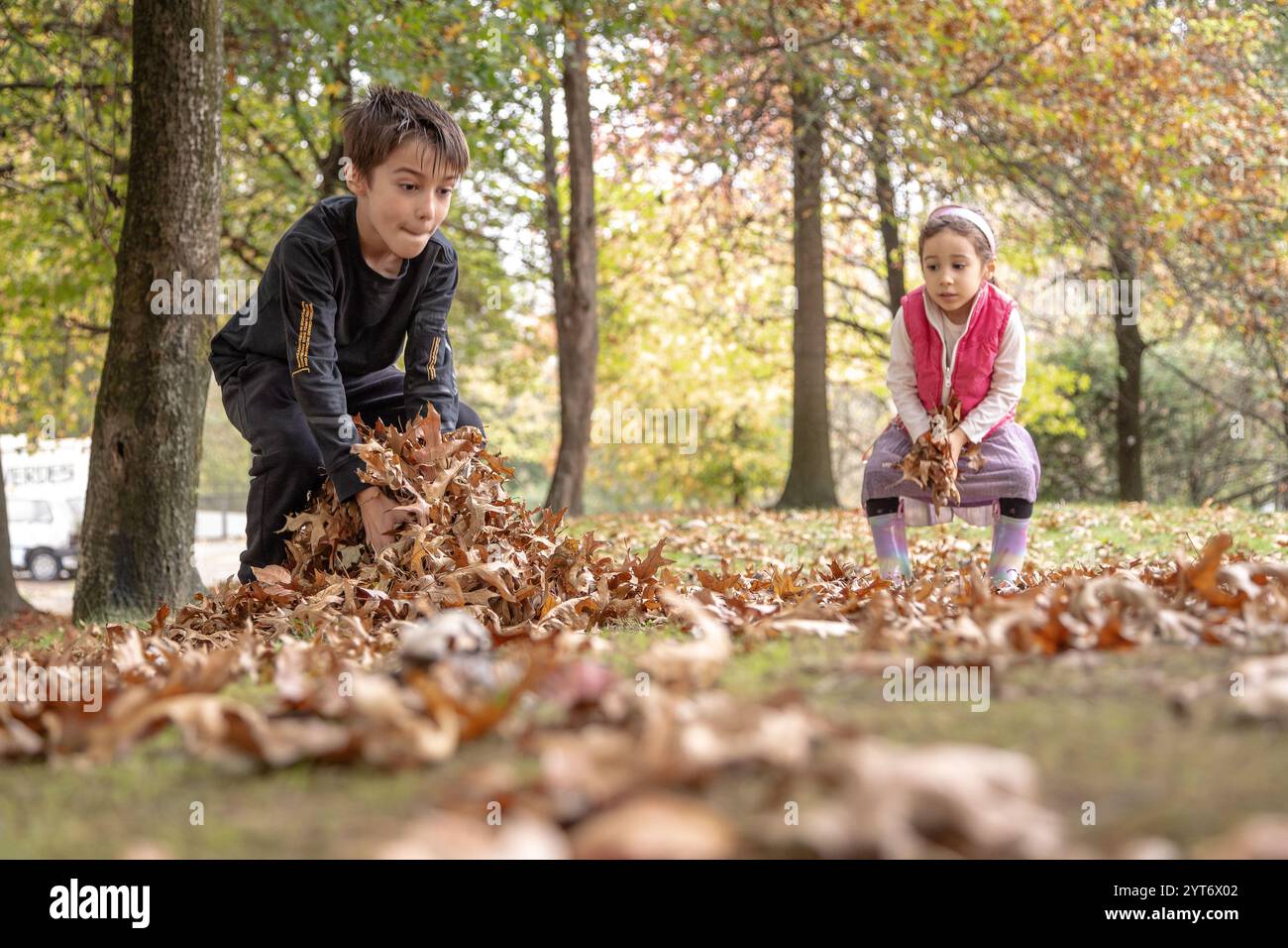 Zwei fröhliche Kinder spielen an einem Herbstnachmittag in einem Park und werfen trockene Blätter in die Luft, umgeben von lebendigen Bäumen Stockfoto