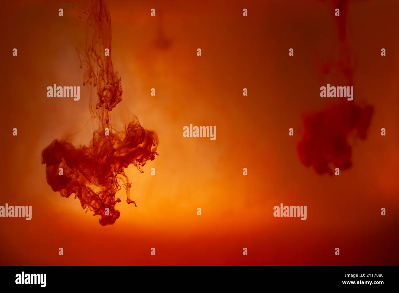 Rote Tinte wirbelt durch rotes Farbwasser und bildet ein dynamisches und fließendes Muster Stockfoto