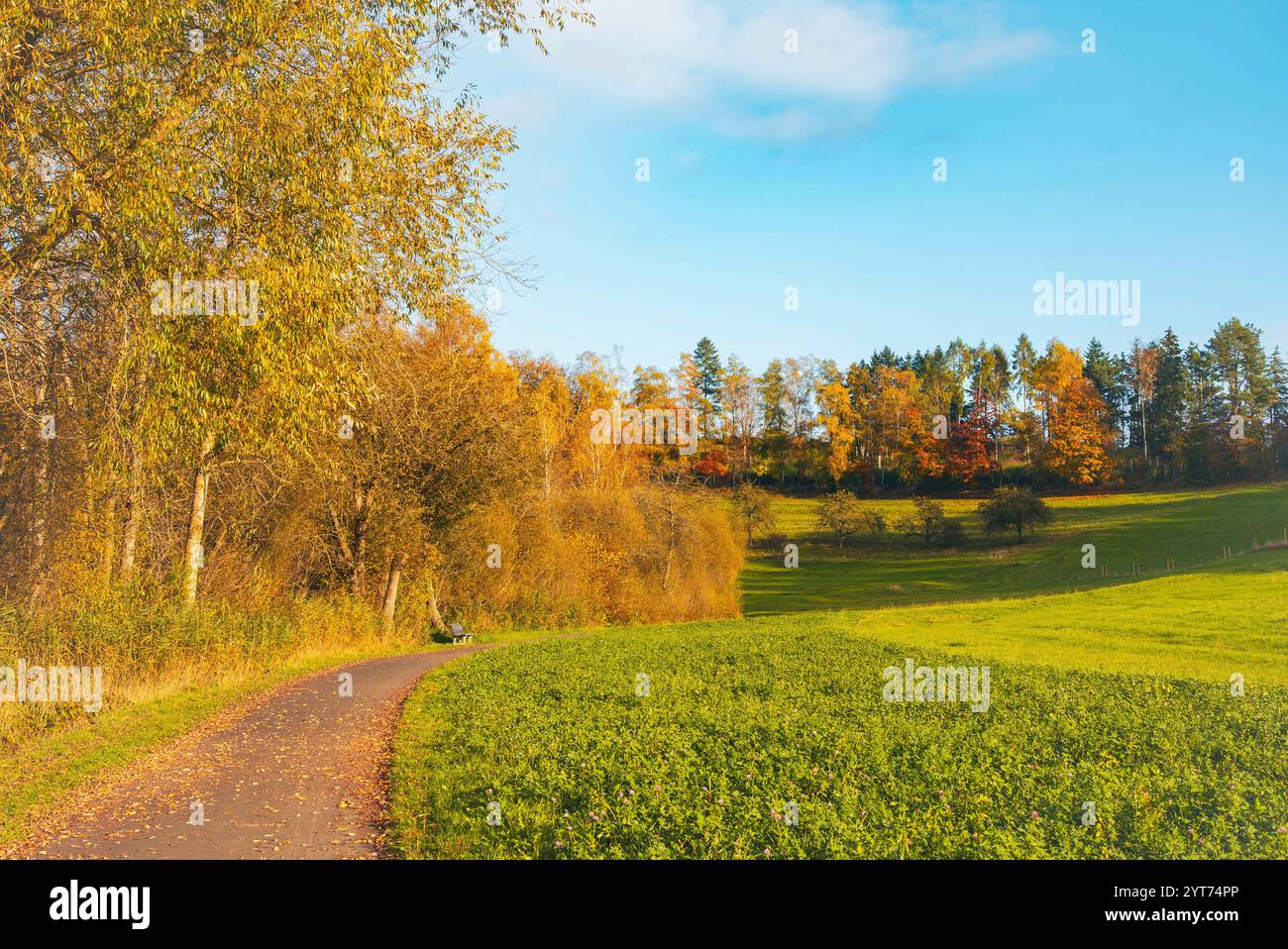 Schalkenmehrener Maar Fotos Und Bildmaterial In Hoher Aufl sung Alamy schalkenmehrener-maar-fotos-und-bildmaterial-in-hoher-aufl-sung-alamy