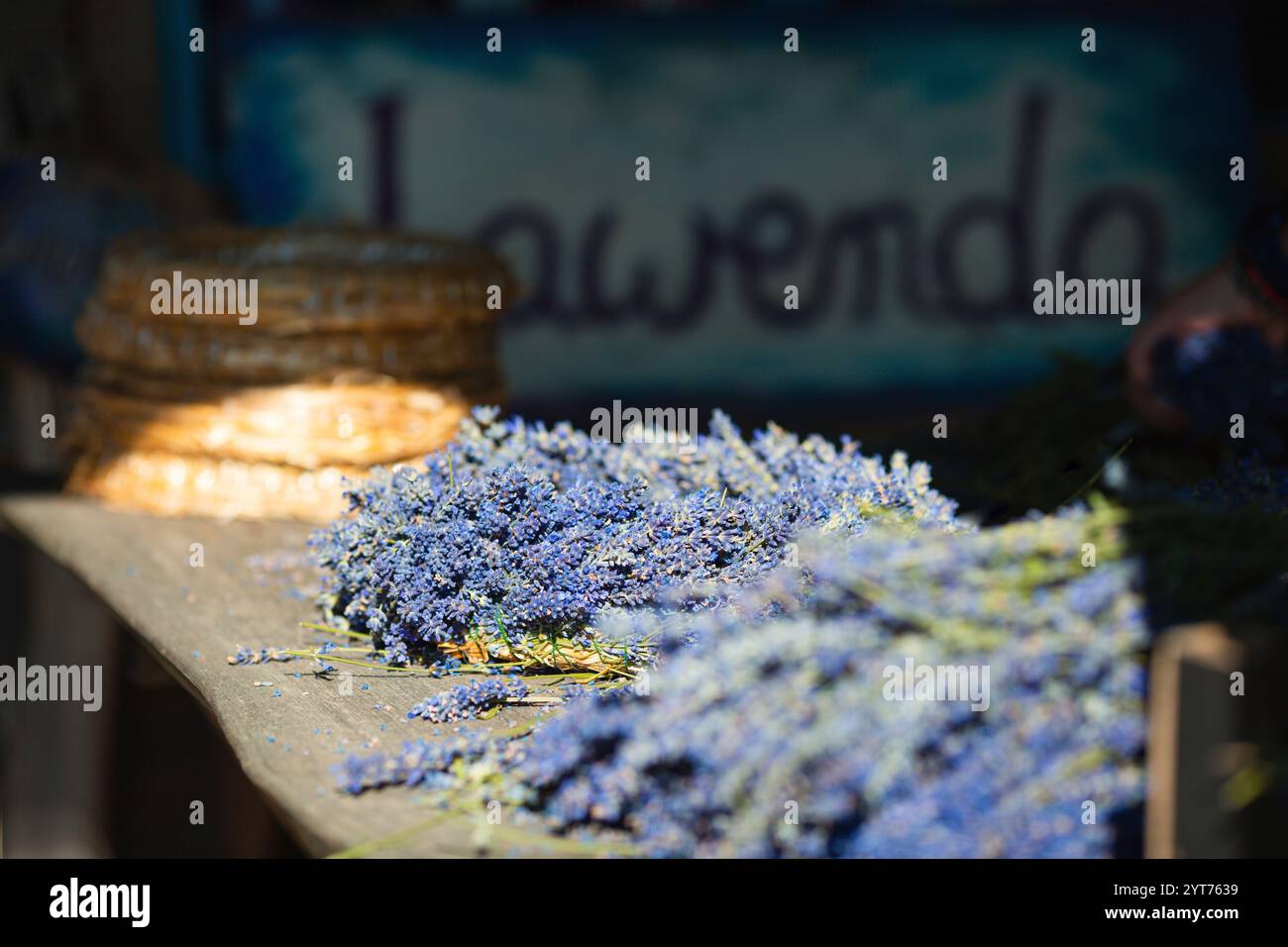 Binden und schneiden Sie einen Lavendelkranz, getrocknete Lavendelblüten Stockfoto
