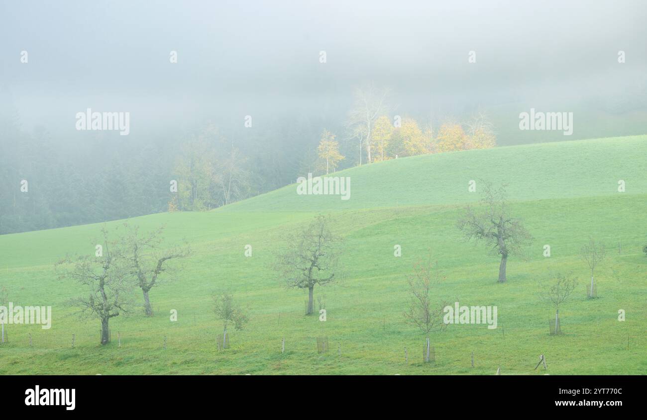 Nebelige Landschaft im Emmental. Kanton Bern. Schweiz. Europa Stockfoto