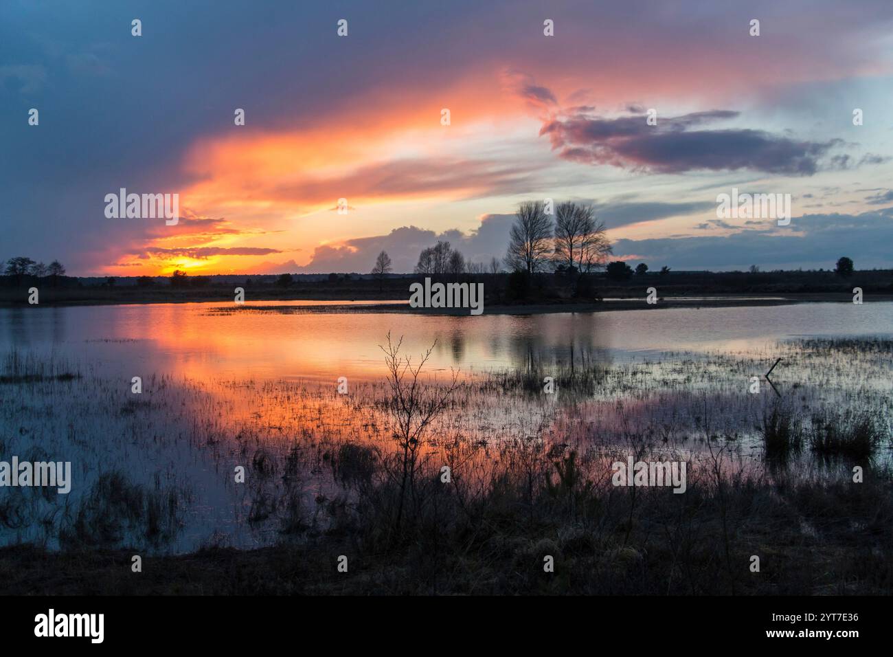 Herbstlandschaft im Militärübungsgebiet Munster Süd, Sonnenuntergang Stockfoto