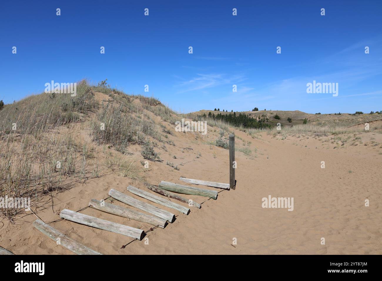Eine Holzleiter, die oben auf einer steilen Sanddüne verankert ist, hilft Wanderern und Kletterern Stockfoto