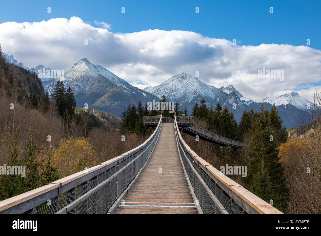 Ziegelwies Baumwipfelwanderung in Füssen, Bayern Stockfoto