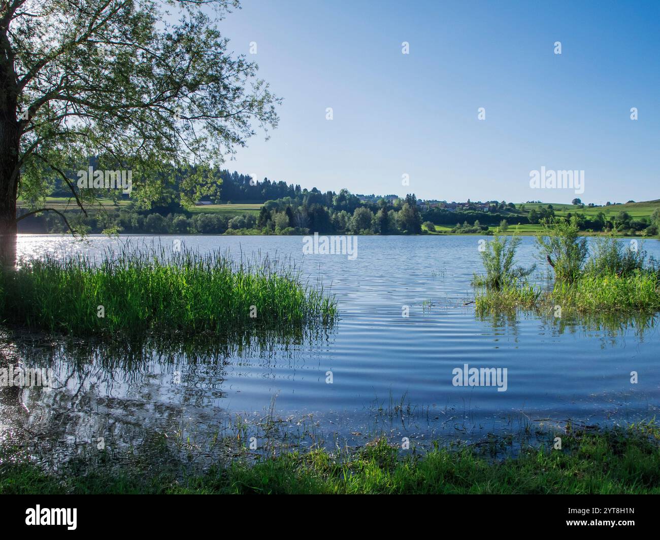 Landschaftsblick über den Grüntensee bei Hochwasser im Sommer mit Hintergrundbeleuchtung. Stockfoto