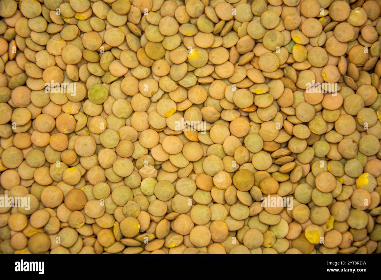 Das Bild ist mit einem leuchtend grünen Linsenhaufen bedeckt Stockfoto