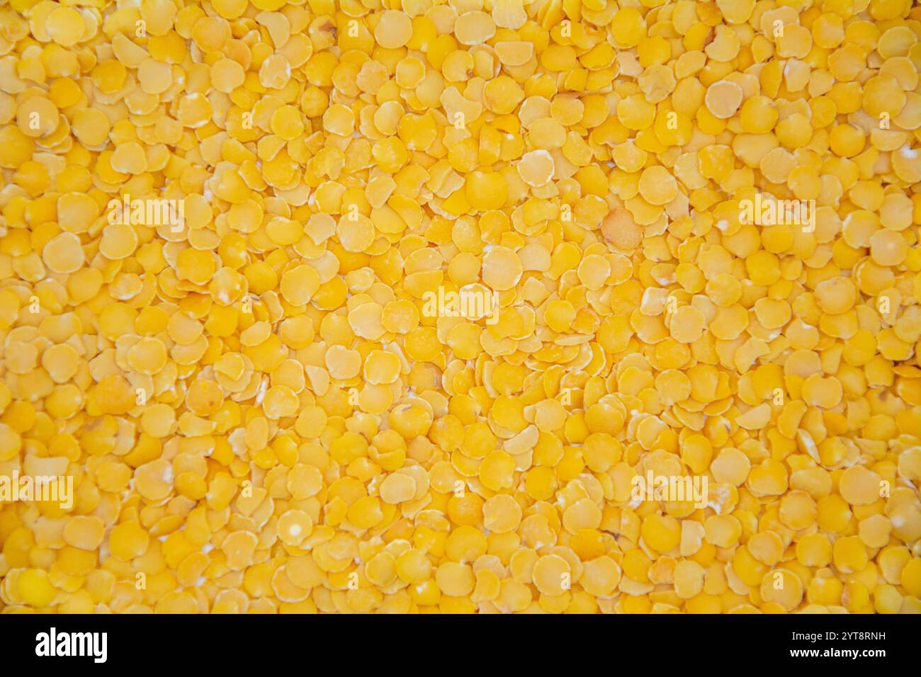 Das Bild ist mit einem leuchtend gelben Linsenhaufen bedeckt Stockfoto