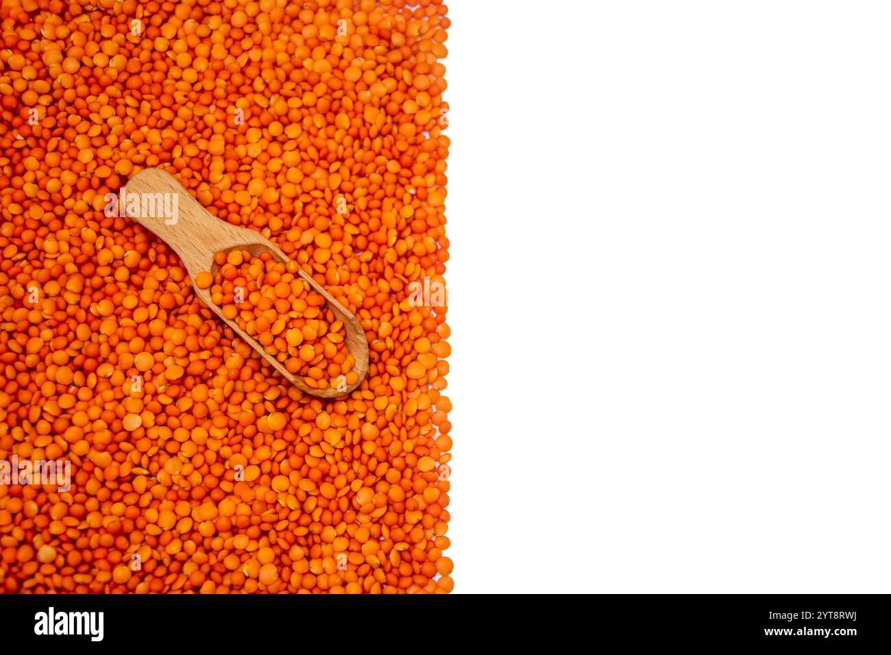 Roter Linsenhaufen mit Holzlöffel, halber weißer Kopierraum Stockfoto