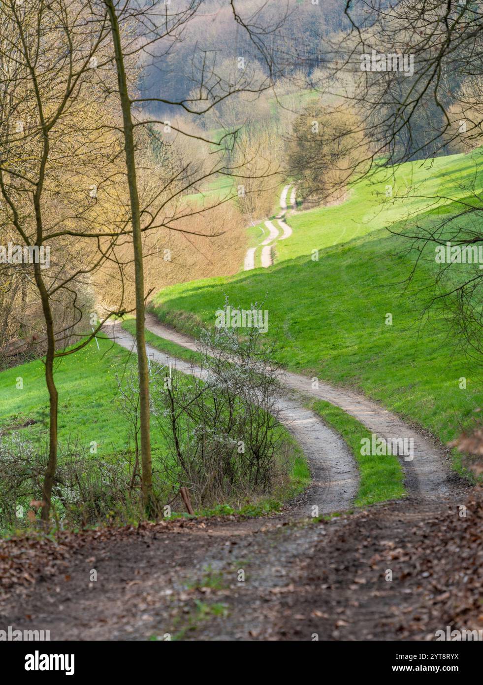 Idyllische ländliche Frühfrühlingslandschaft mit grünen Wiesen und Weiden rund um Braunsbach, eine Gemeinde im süddeutschen Landkreis Schwaebisch Hall Stockfoto