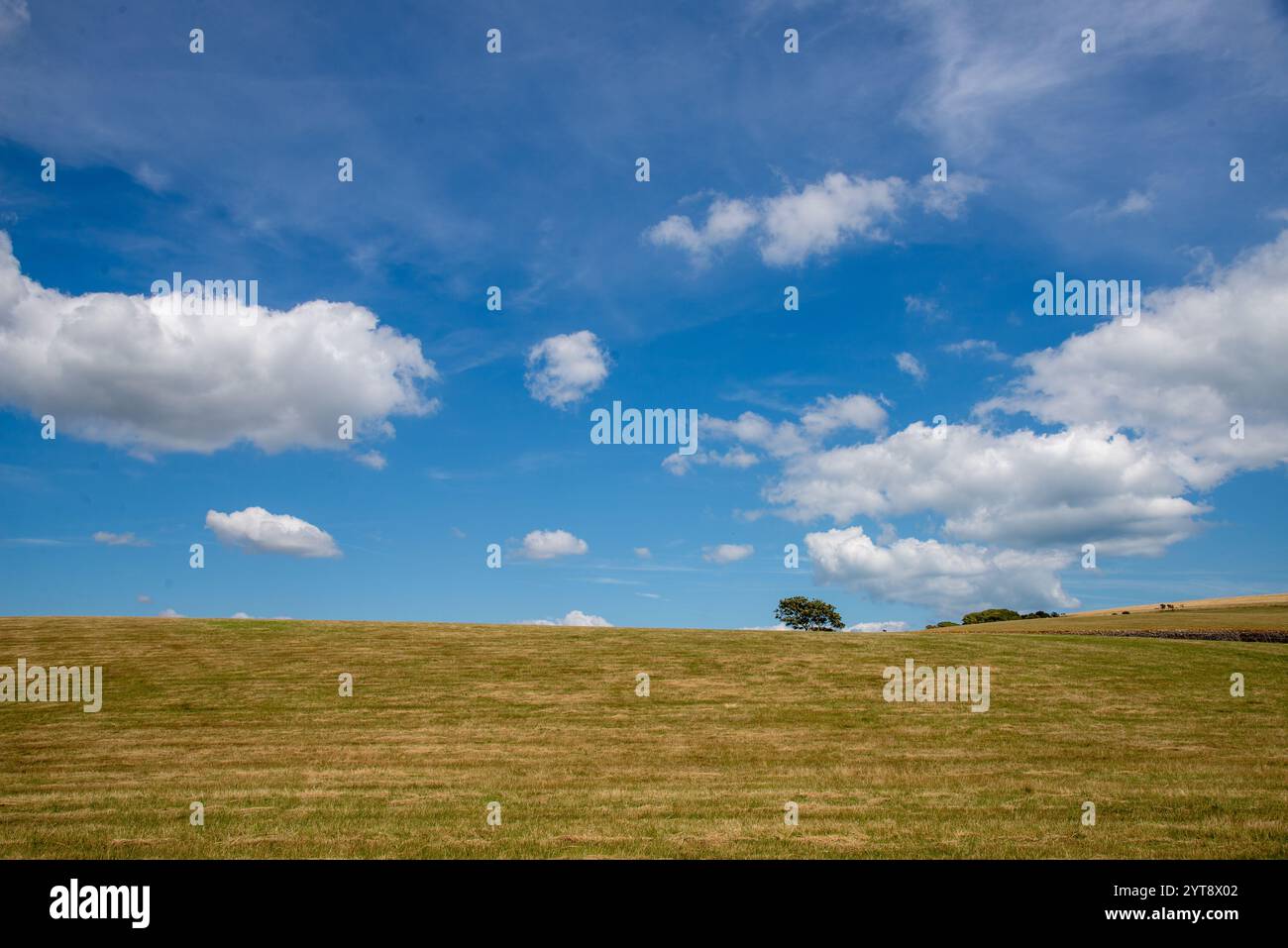 Sanfte Landschaft in East Sussex, England Stockfoto