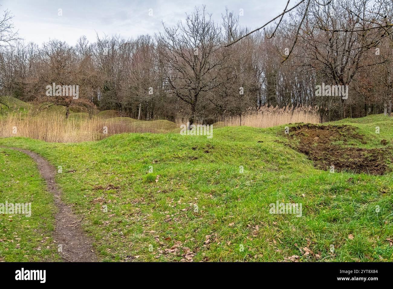 Die Landschaft zeigt ein historisches Schlachtfeld um Verdun, das vom 21. Februar bis 18. Dezember 1916 an der Westfront in Frankreich ausgetragen wurde Stockfoto