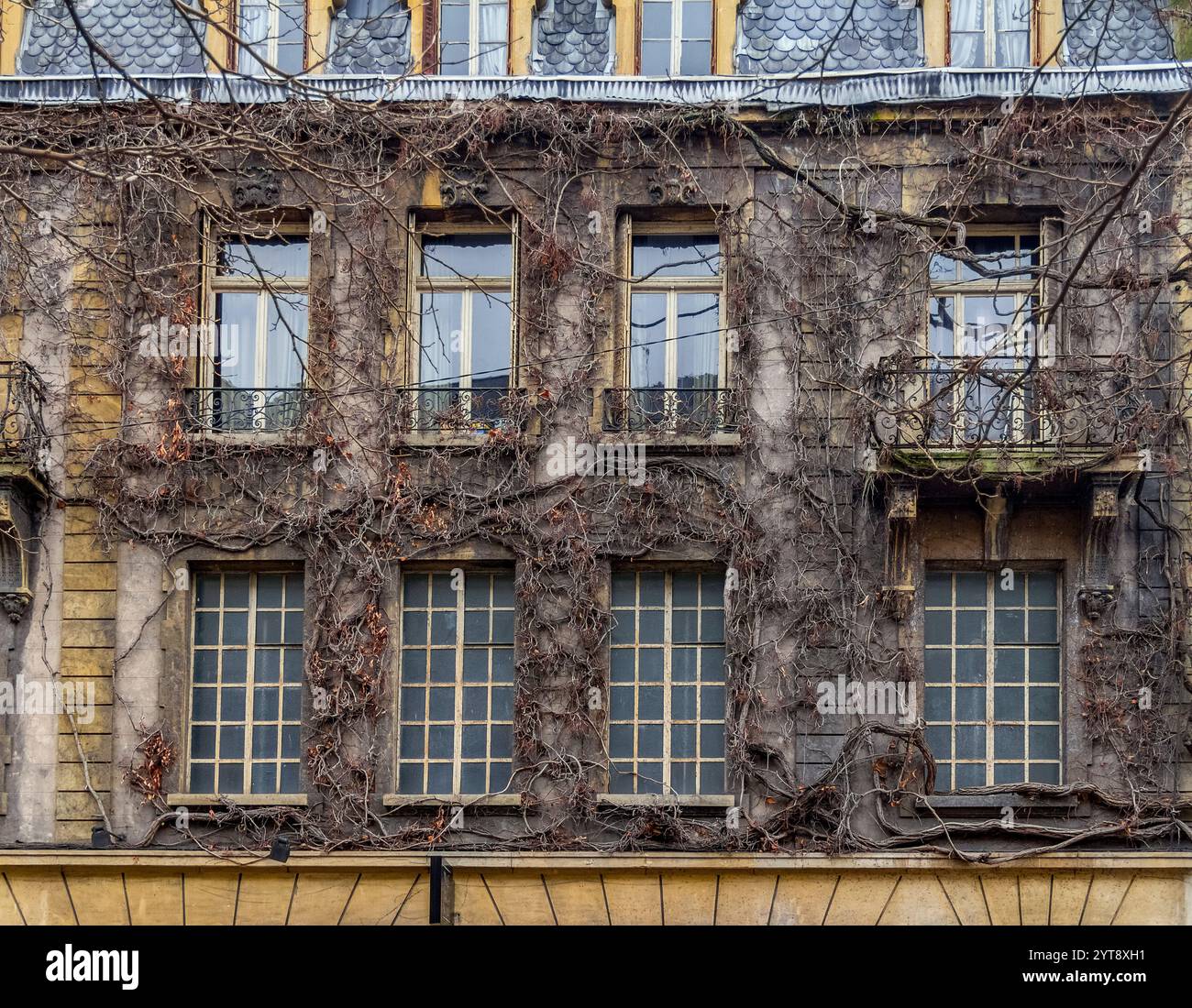 Überwucherte Hausfassade in Metz, im Winter in der Region Lothringen in Frankreich Stockfoto