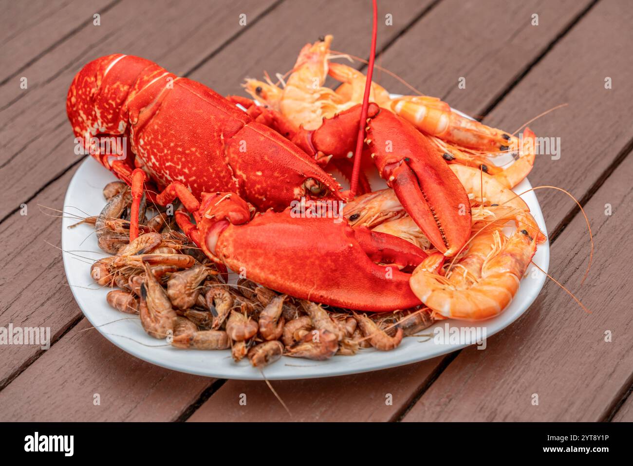 Nahaufnahme eines gekochten Hummer und anderer Krebse auf einem Teller auf Holzplanken Stockfoto