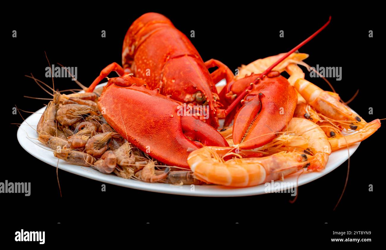 Nahaufnahme eines gekochten Hummer und anderer Krebse auf einem Teller mit schwarzem Rücken Stockfoto