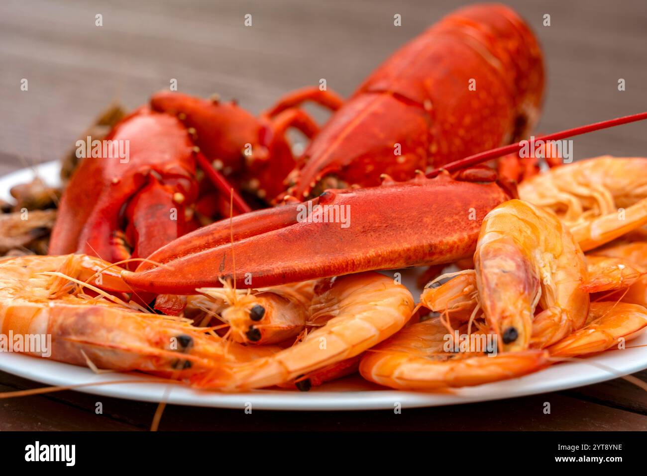 Nahaufnahme eines gekochten Hummer und anderer Krebse auf einem Teller in bräunlichem Rücken Stockfoto