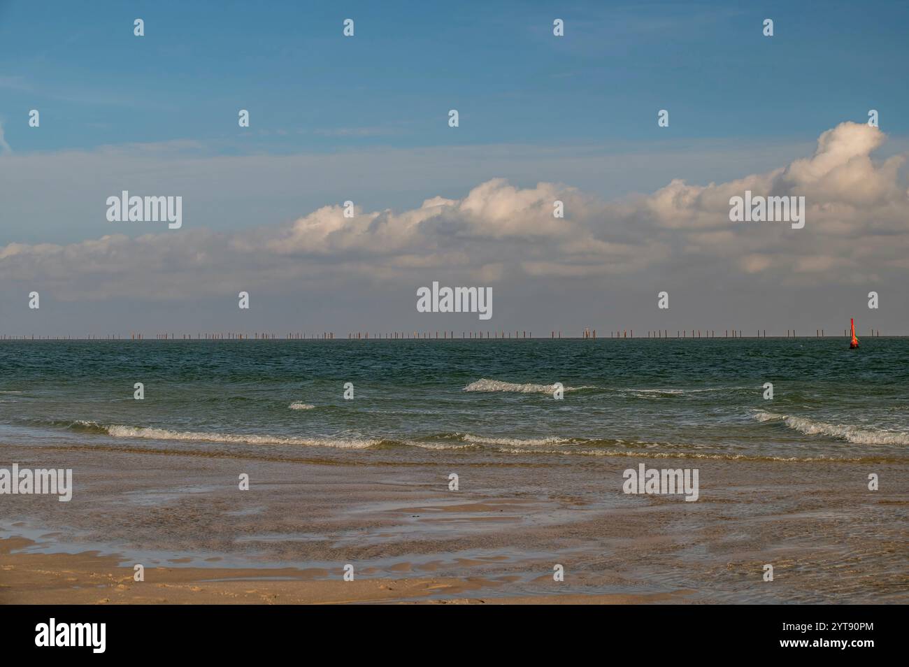 Muschelzuchtgebiete in der Nordsee Stockfoto