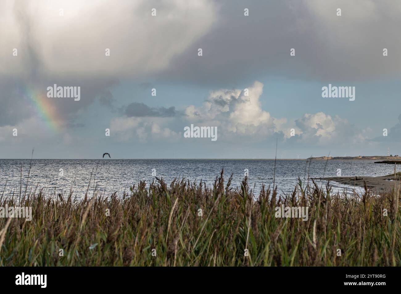 Regenbogen am Horizont Stockfoto