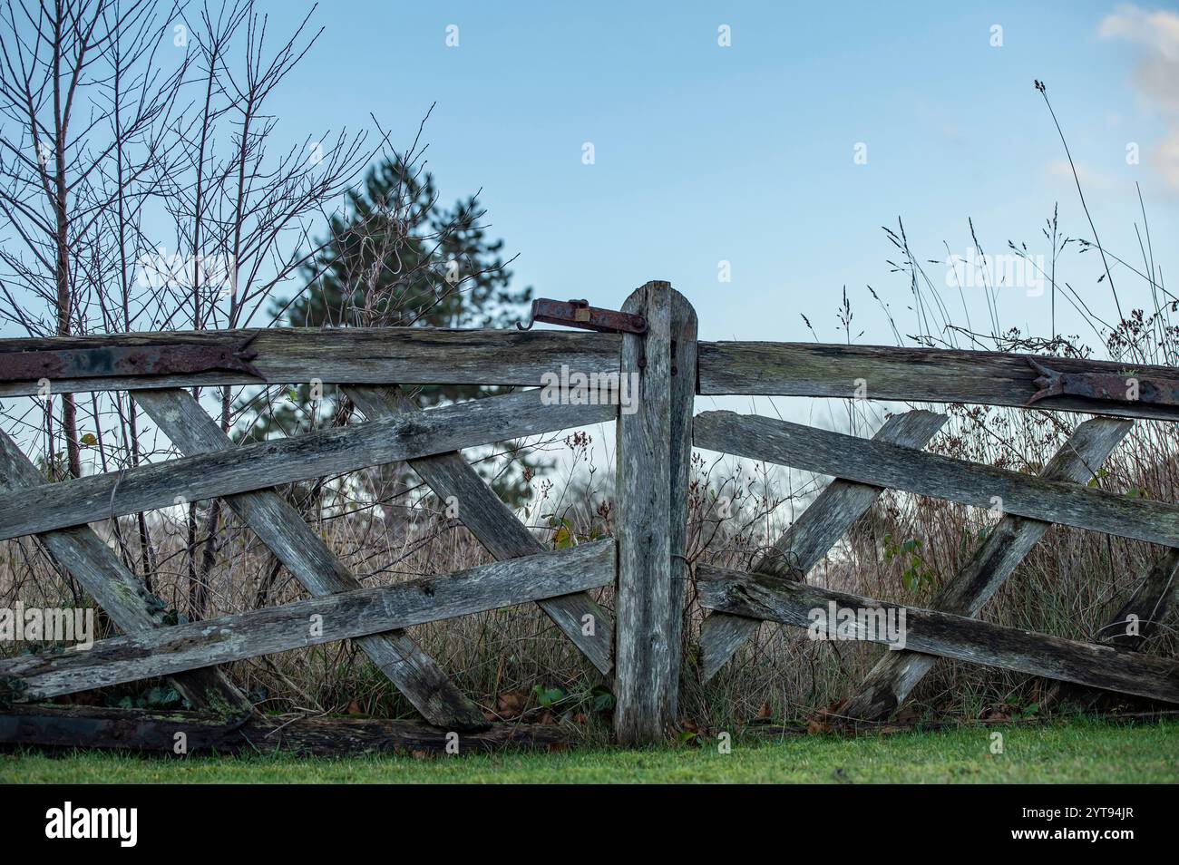 Altes Holztor Stockfoto