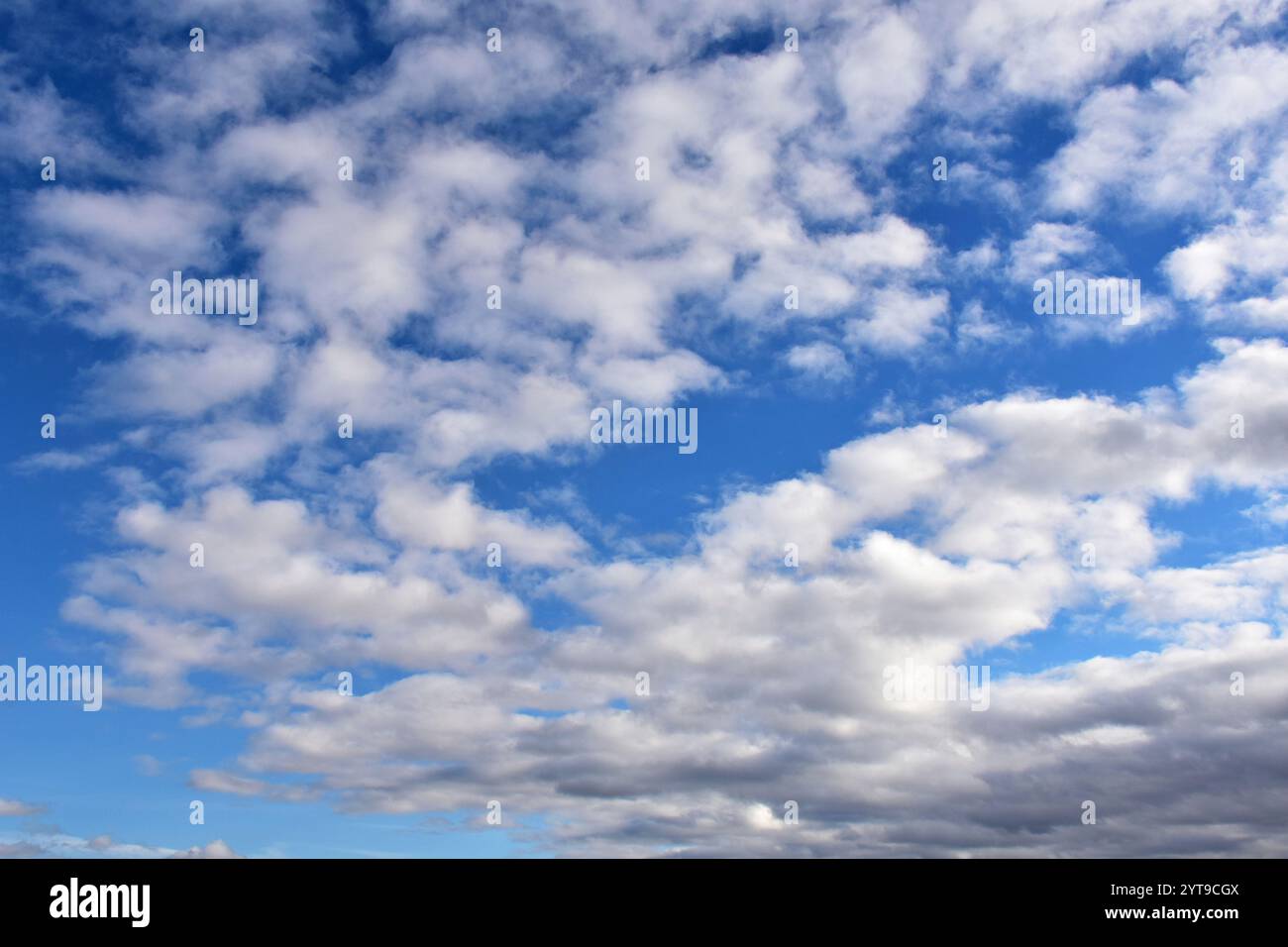 Altocumulus floccus Wolken am Winterhimmel Stockfoto