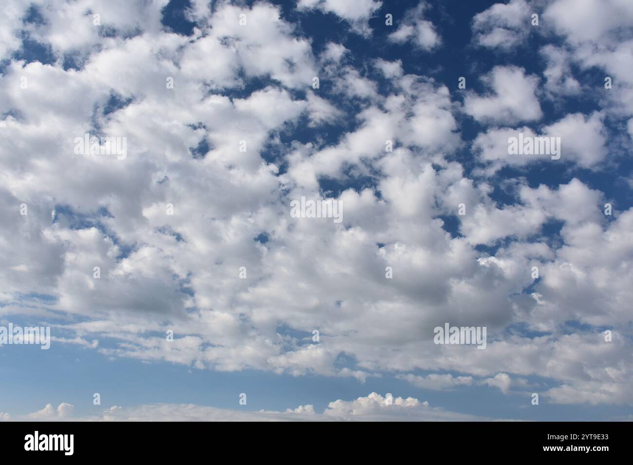 Cumulus-Wolken sammeln sich zusammen Stockfoto