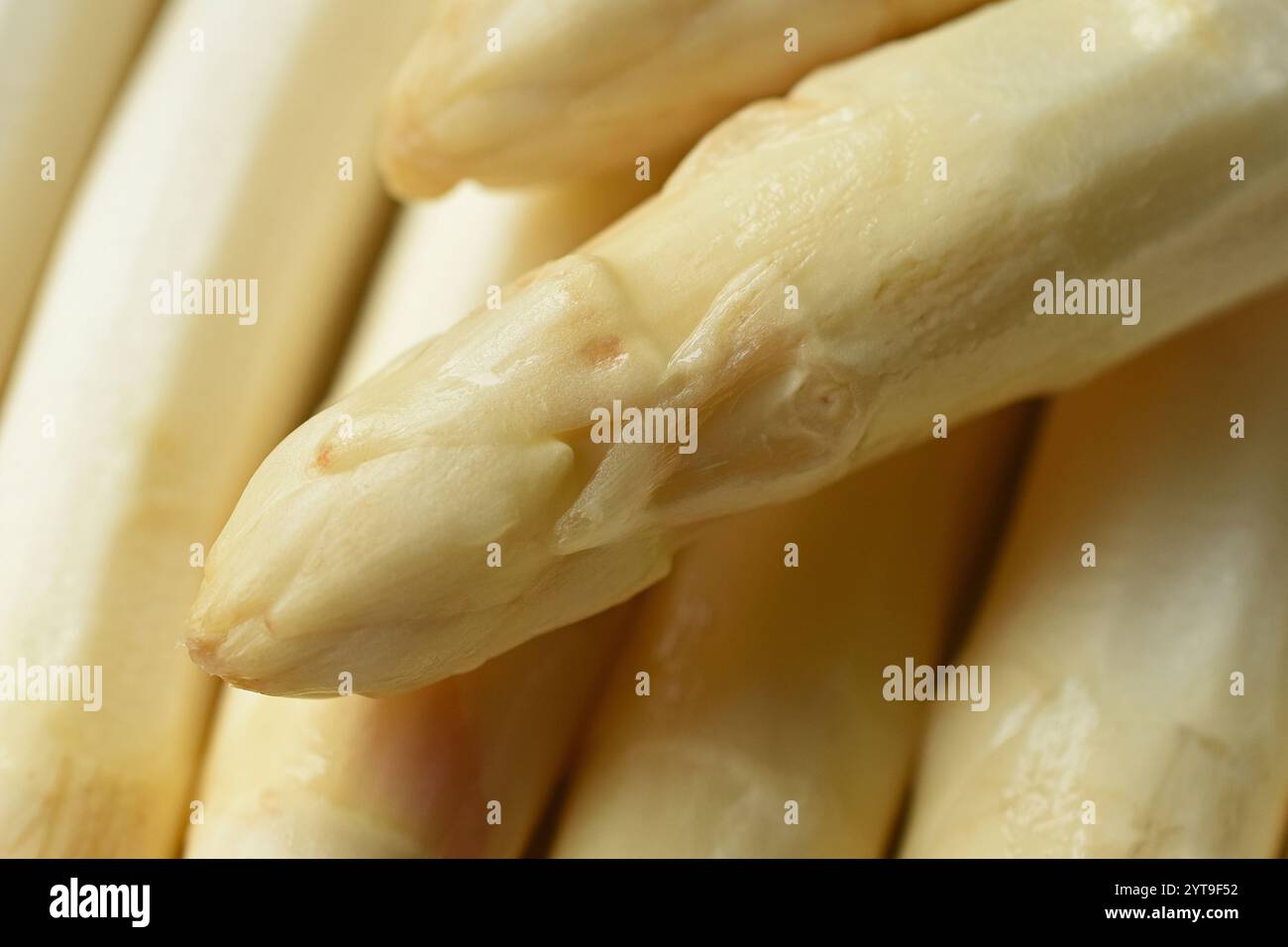 Spitze eines weißen Spargelspeers, Makro Stockfoto