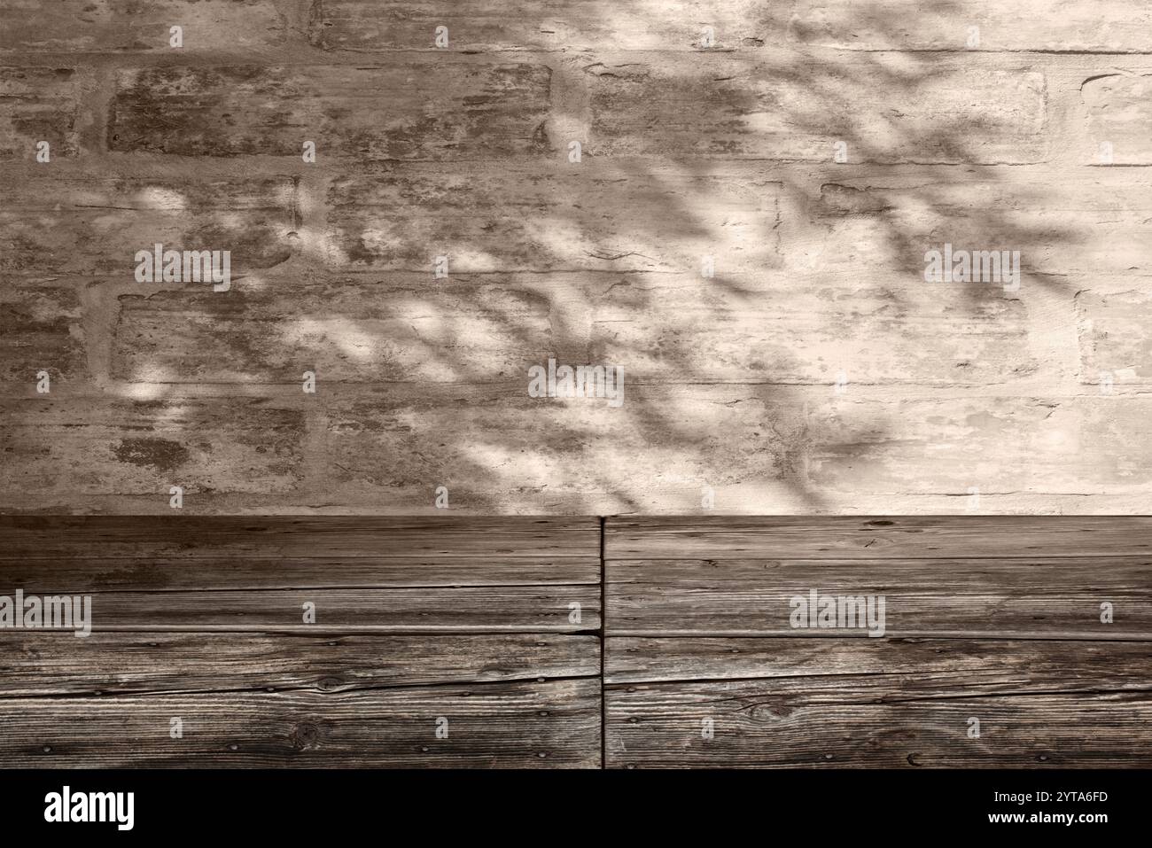 Sepia-farbiger Hintergrund mit Pflanzenschatten auf verwitterter Holzwand für eine Produktplatzierung. Sommerarchitektur im Ästhetischen Boho-Design mit Platz für Text. Stockfoto