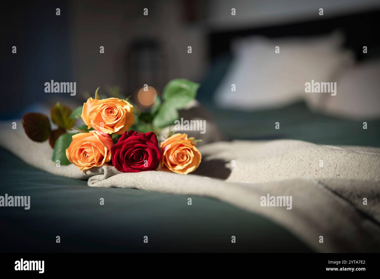 Rosen auf dem Bett in einem Hotelzimmer. Hintergrund für einen romantischen Valentinstag oder Muttertag mit Platz für Text. Stockfoto