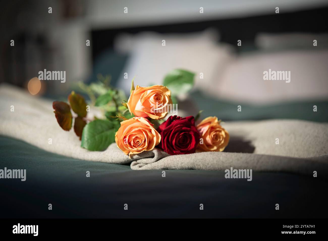 Rosen auf dem Bett in einem Hotelzimmer. Hintergrund für einen romantischen Valentinstag oder Muttertag mit Platz für Text. Stockfoto