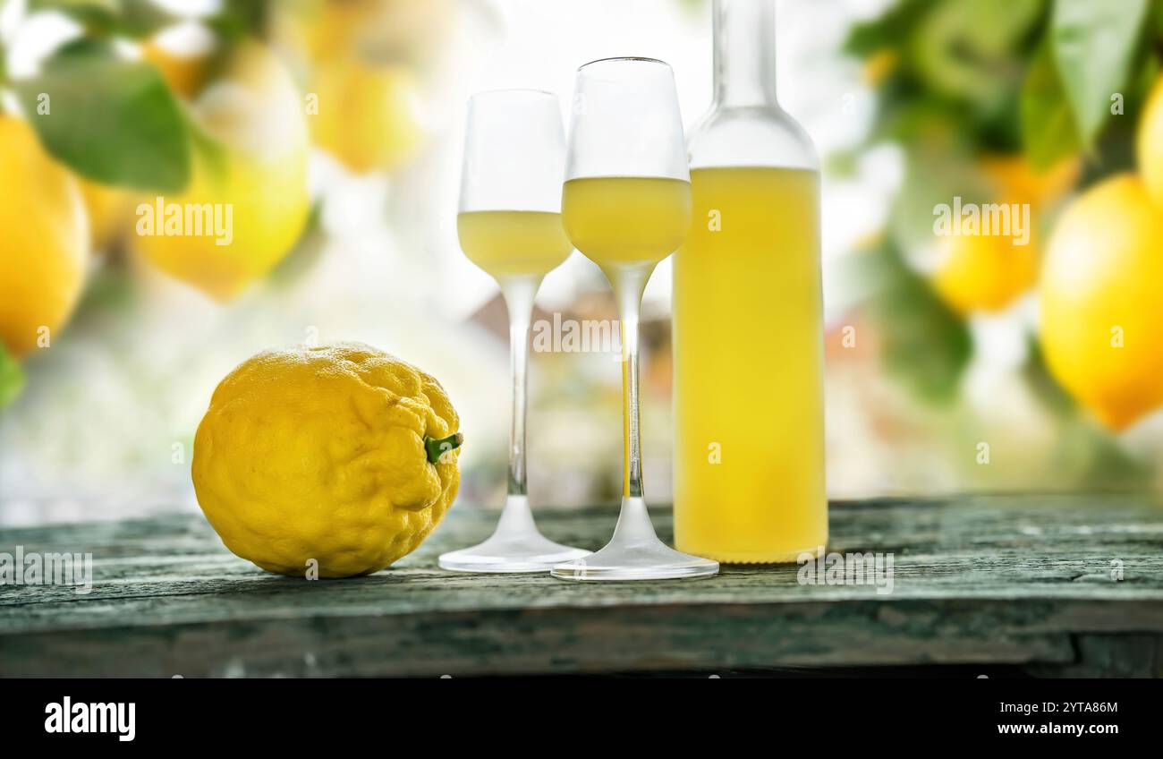 Flasche Limoncello und zwei Gläser stehen auf verwittertem Holztisch. Stimmungsvolles Stillleben im Hintergrund mit Zitronenbäumen. Nahaufnahme. Stockfoto