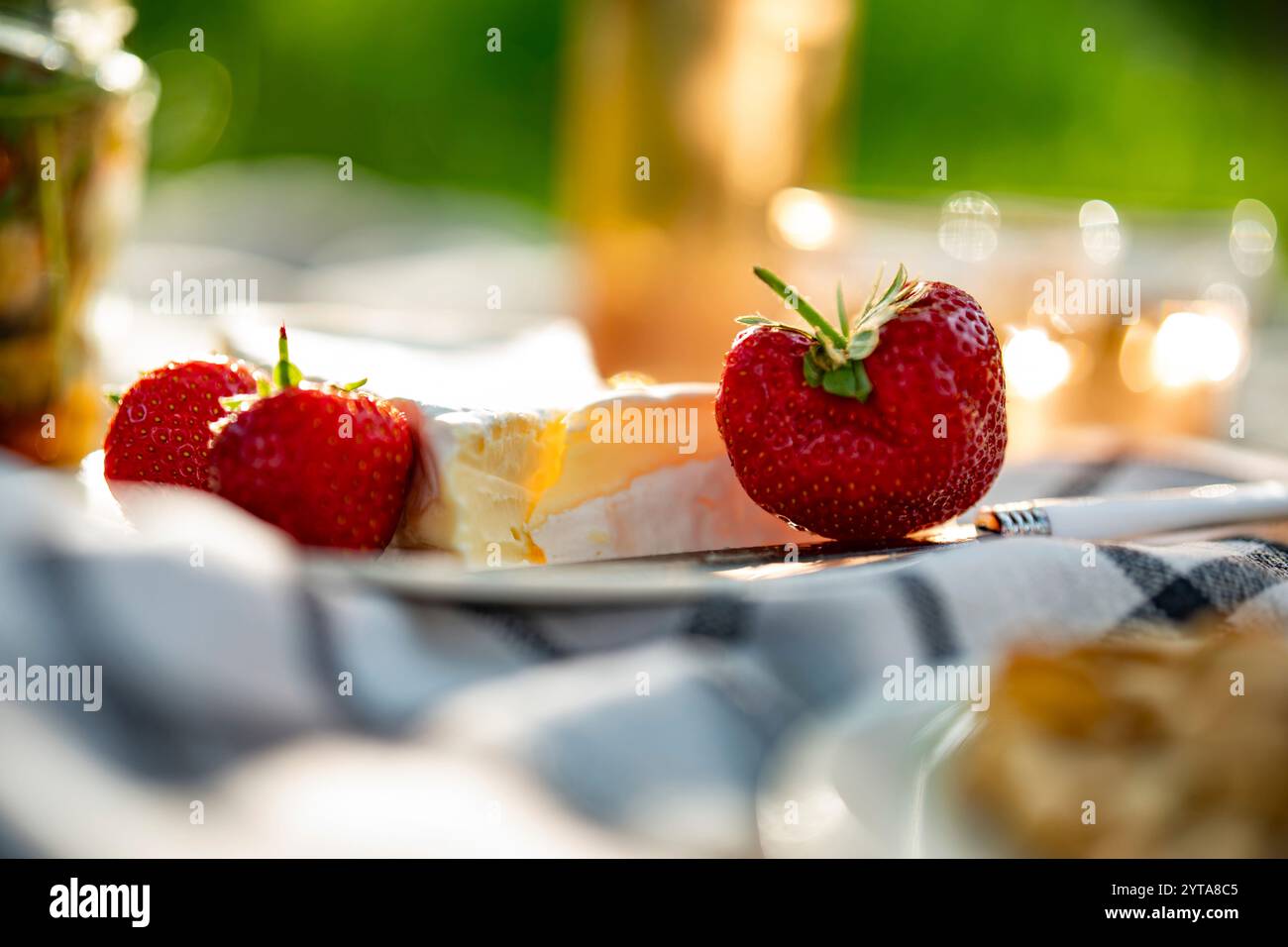 Delikater Camembertkäse und gekühlter Rosenwein bei einem Sommer-Picknick. Horizontale Nahaufnahme mit kurzer Schärfentiefe. Stockfoto