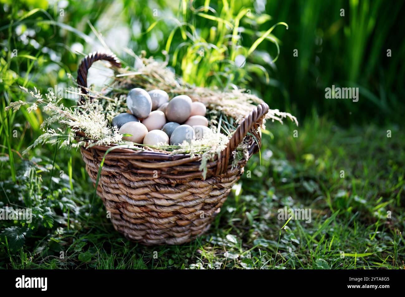 Großer Korbkorb auf der Wiese, gefüllt mit Pastelleiern auf einem Grasbett. Stockfoto
