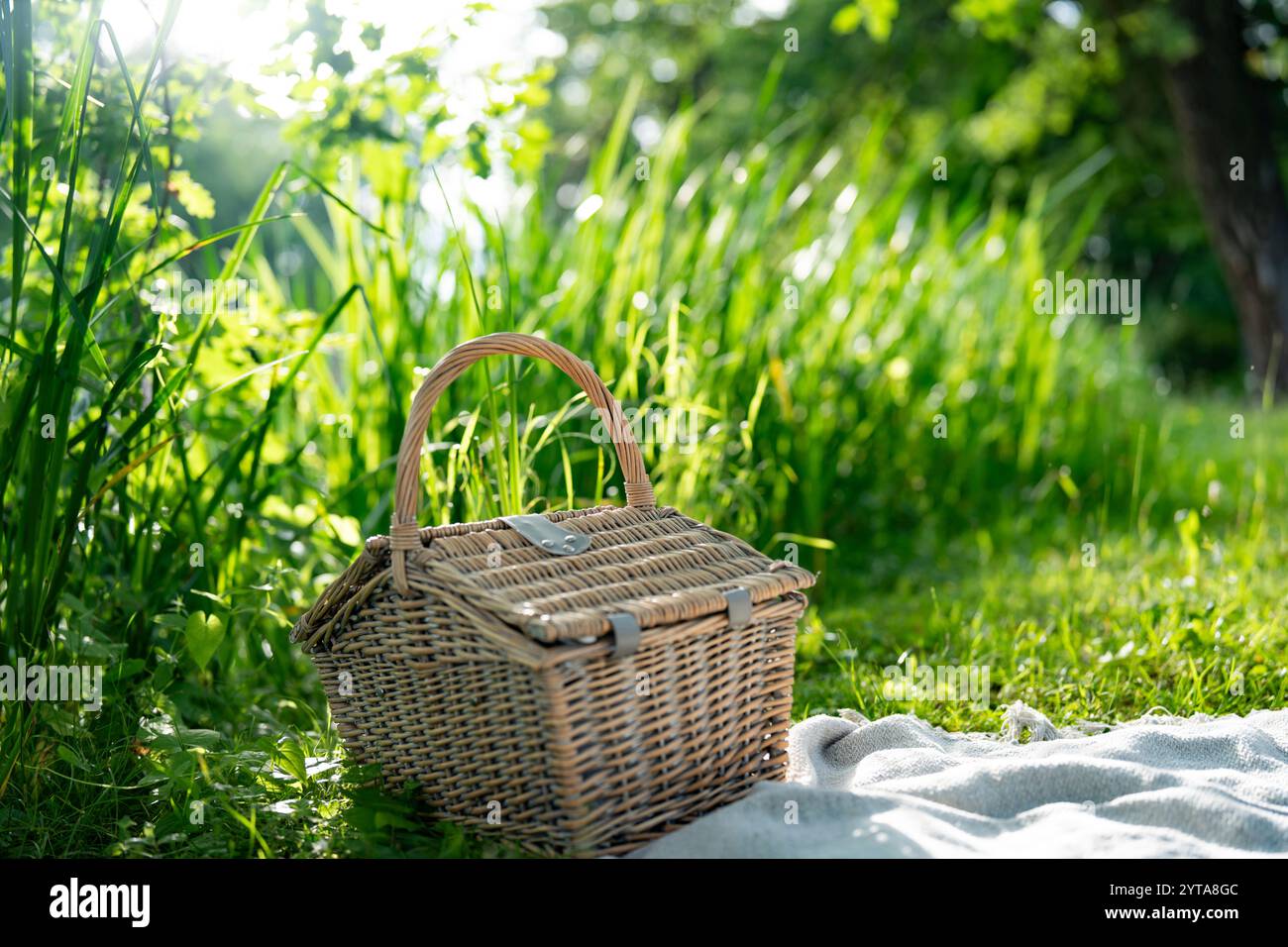 Geschlossener Korb auf Wolldecke. Hintergrund für das Sommer-Picknick im grünen Gras. Nahaufnahme mit kurzer Schärfentiefe. Stockfoto