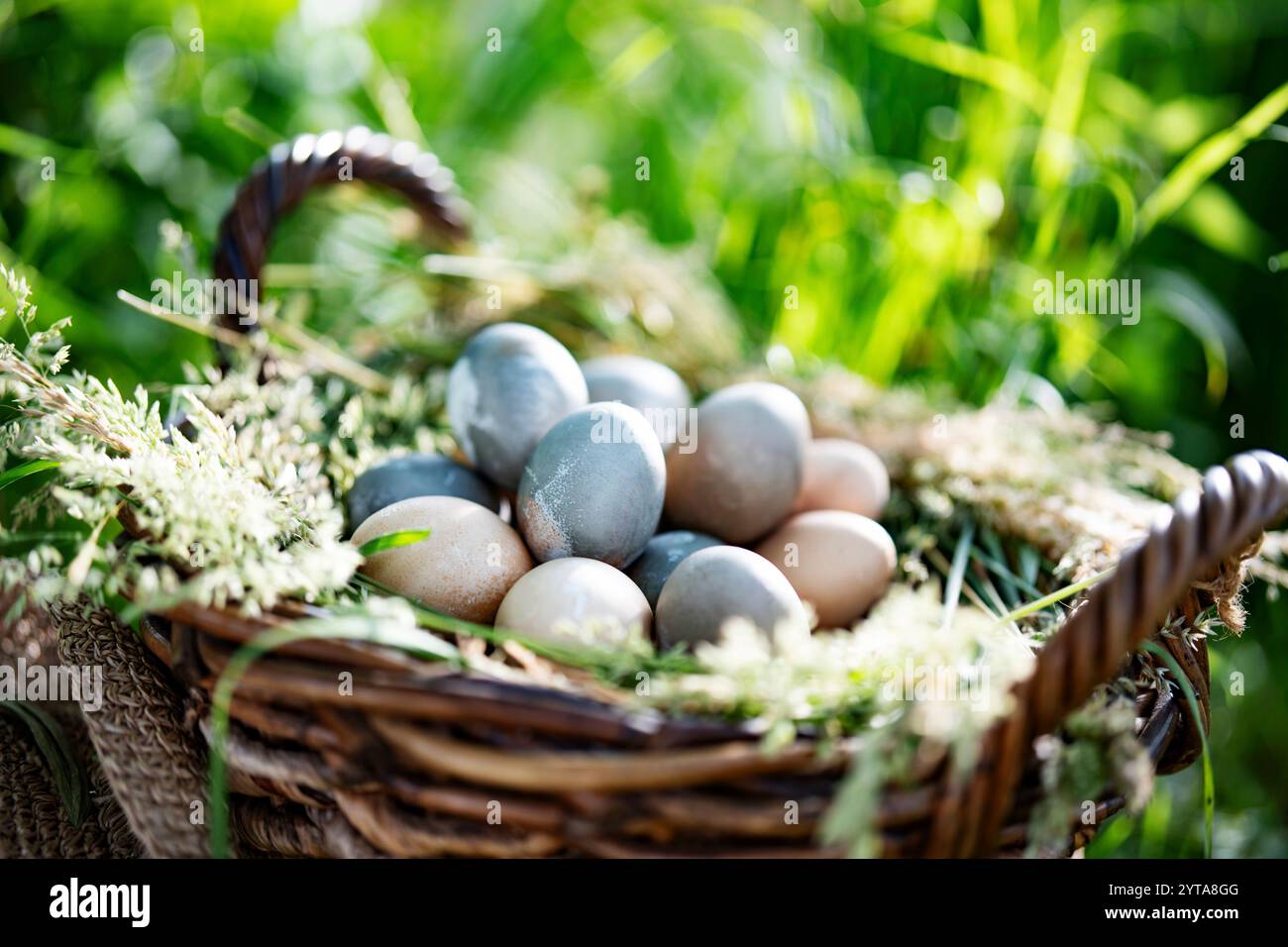 Großer Korbkorb auf der Wiese, gefüllt mit Pastelleiern auf einem Grasbett. Nahaufnahme mit kurzer Schärfentiefe. Stockfoto