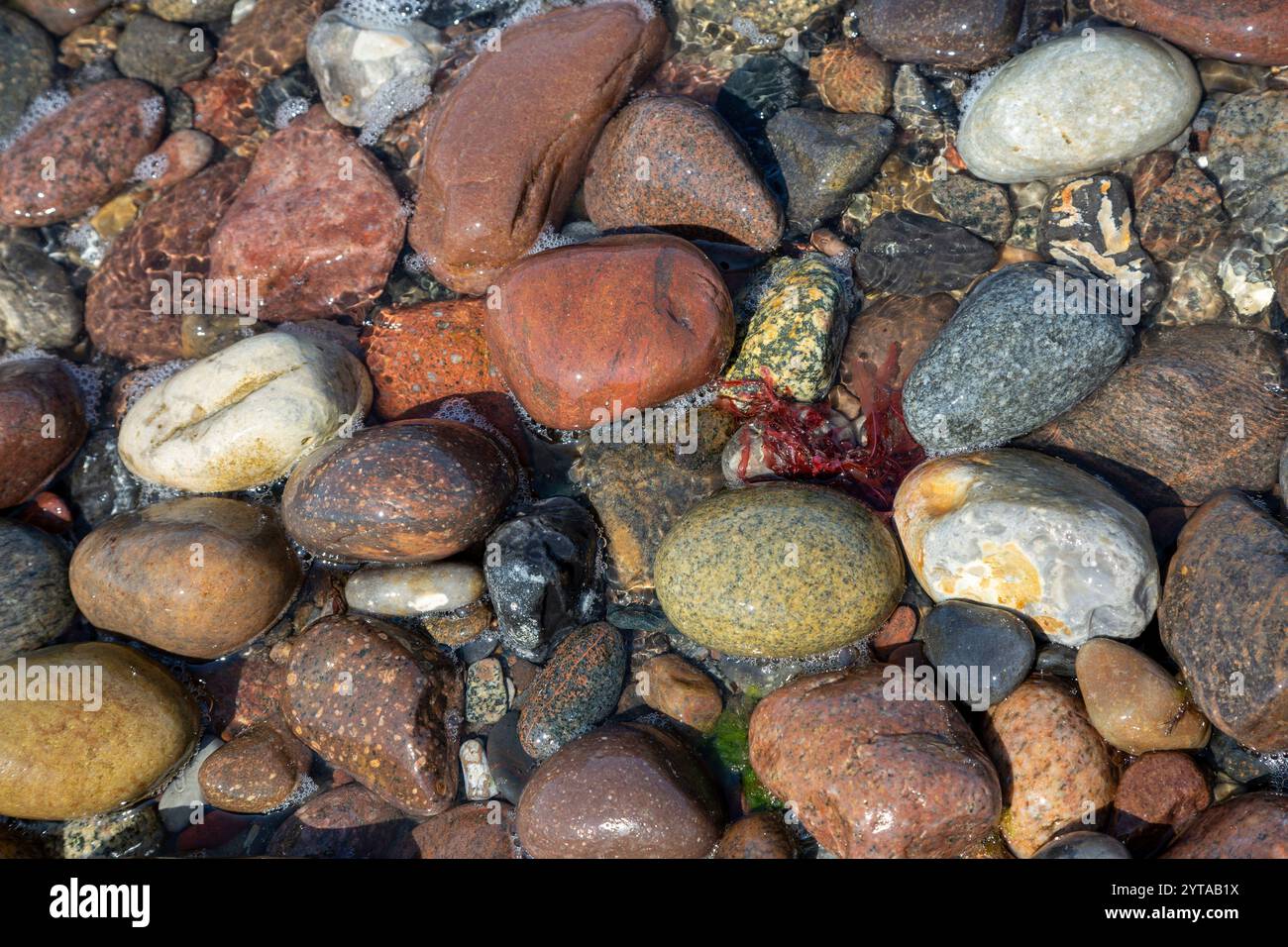 Bunte Steine am Strand an der Ostsee Stockfoto