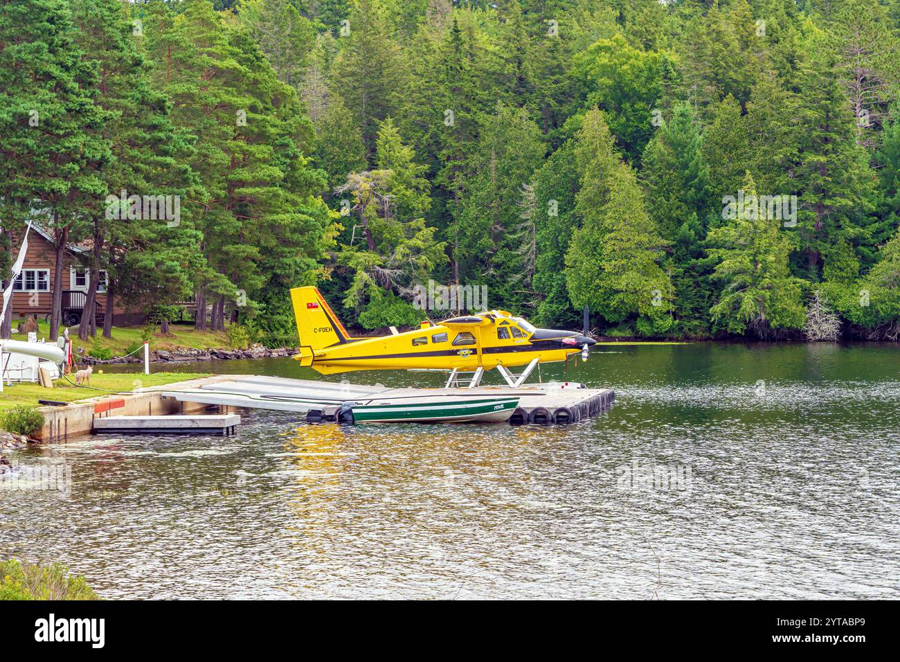 Ontario Ministry of Natural Resources de Havilland Canada DHC-2 Mk. III Turbo Beaver dockte am Smoke Lake im Algonquin Provincial Park an. Stockfoto