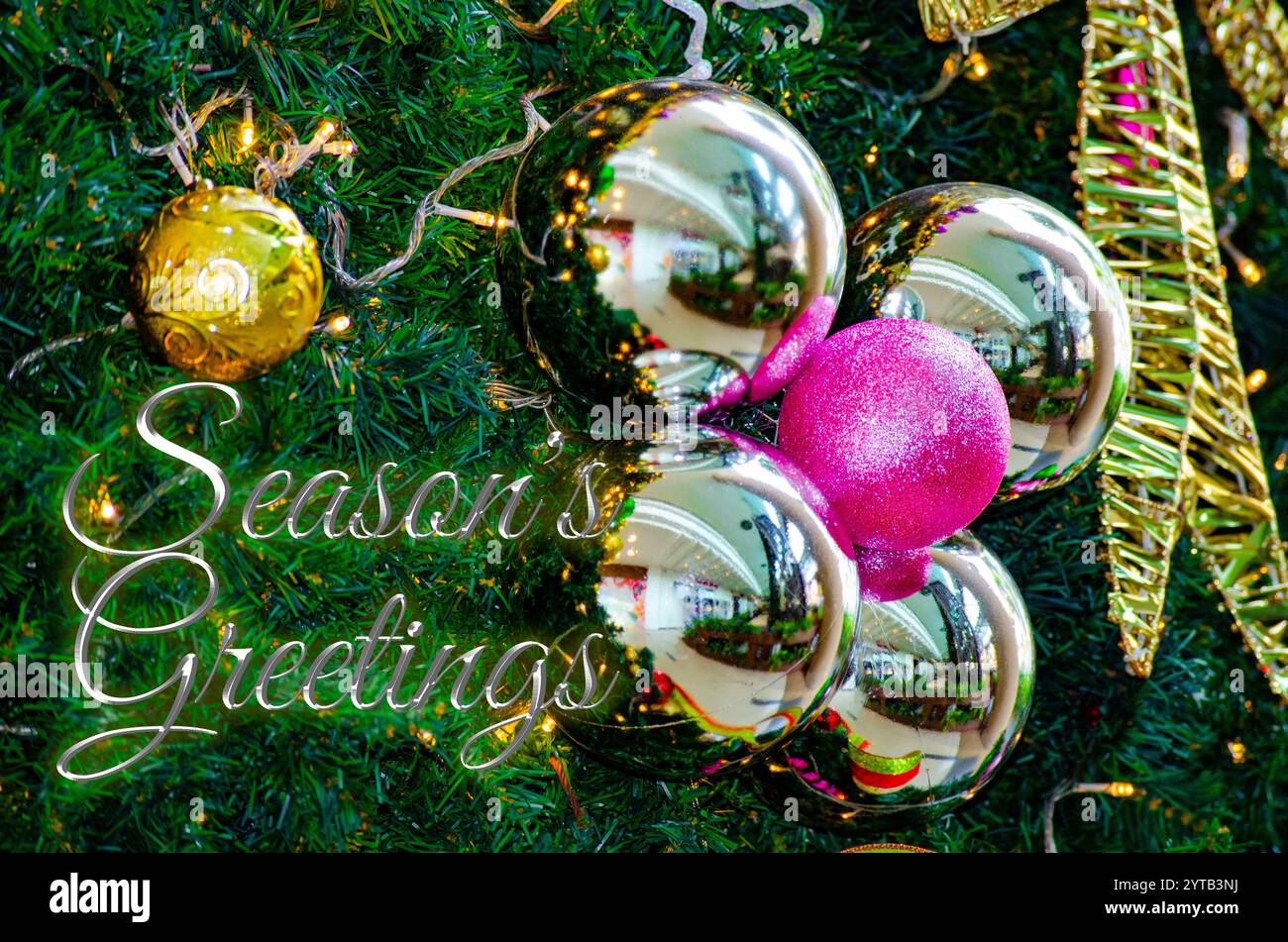 Season Greetings wünscht Text mit Weihnachtskugel und Tannenbaum Hintergrund. Weihnachtsfeier-Konzept. Stockfoto