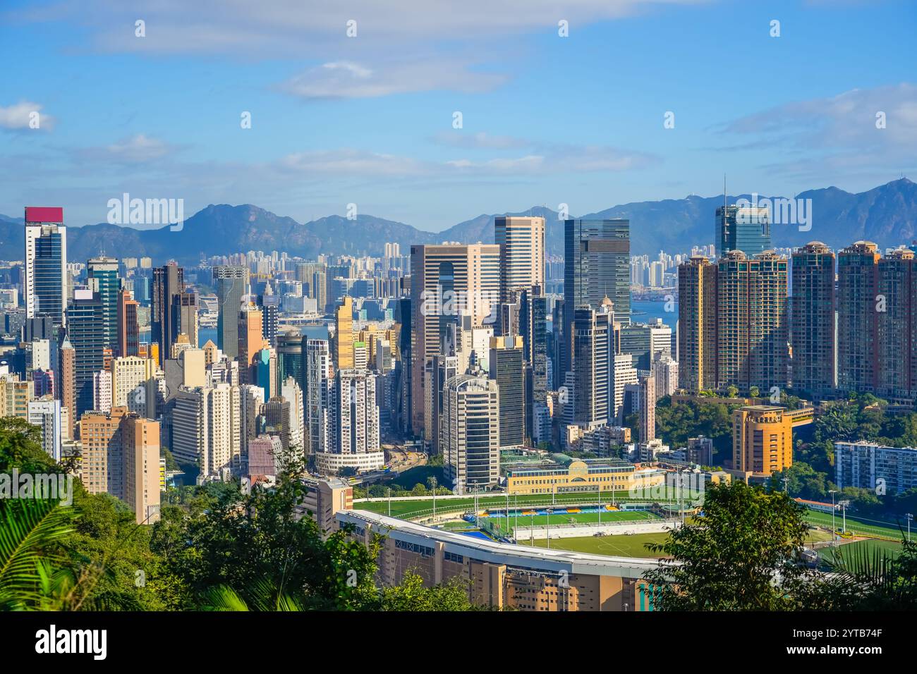 Dichte Stadtentwicklung mit hohen und dünnen Gebäuden Blick auf Hongkong auf die Stadtgebiete mit Parks und Parkflächen Stockfoto
