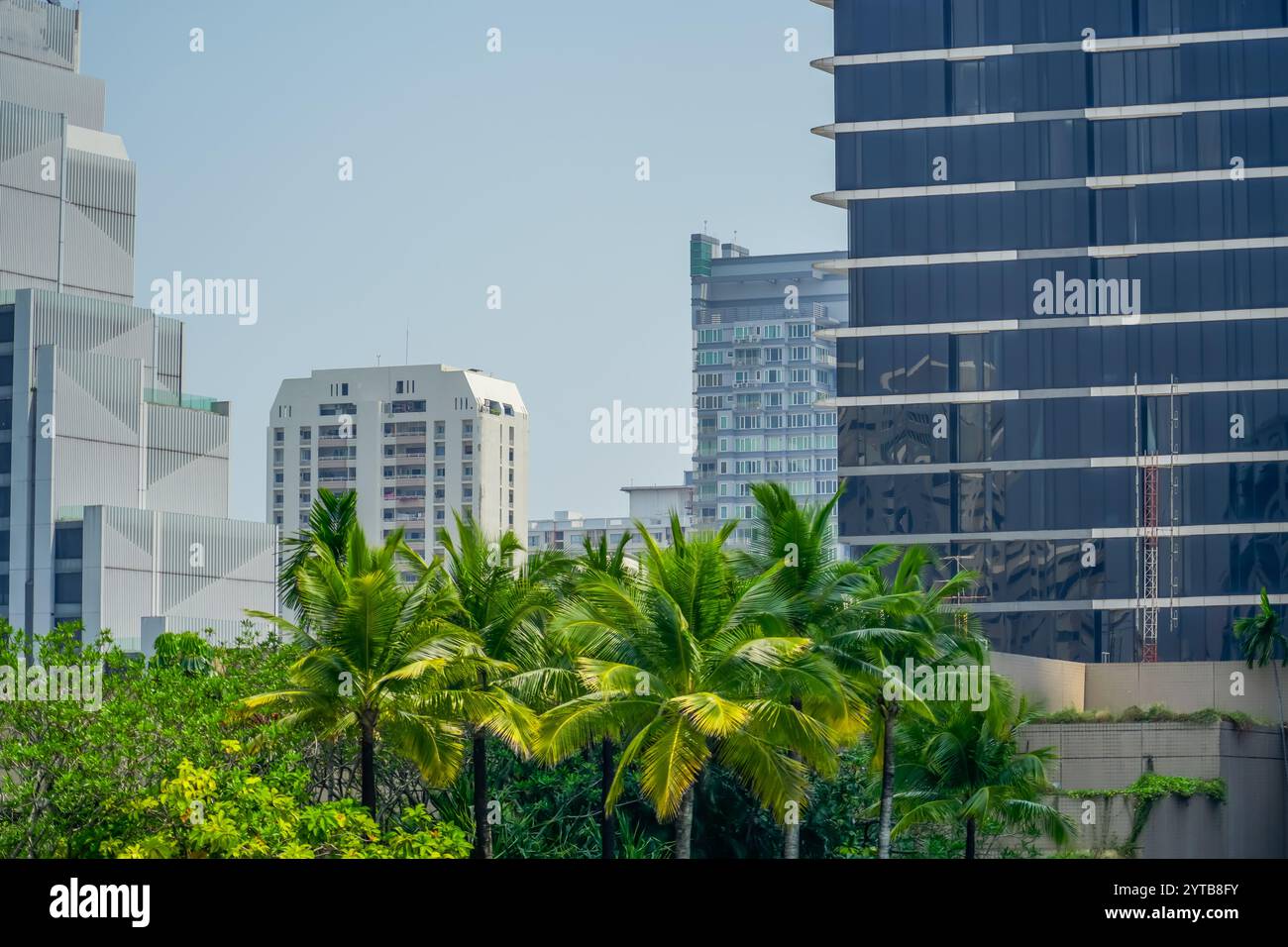 Tropische Gärten und Palmen und exotische Pflanzen auf den Dächern von Wolkenkratzern in der Metropole mit Veranden und Terrassen. Stockfoto