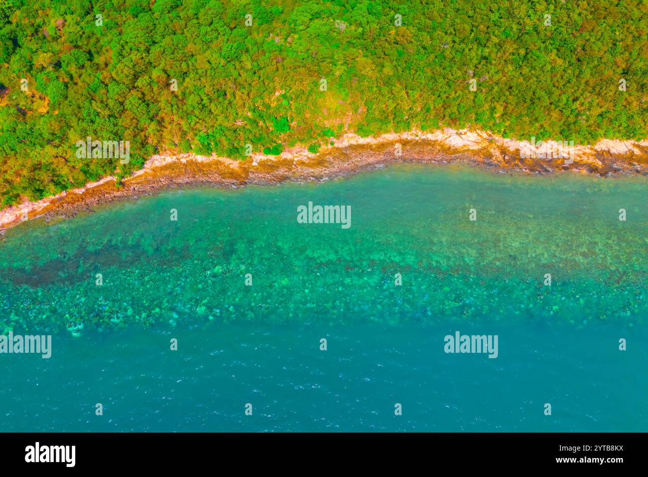 Der üppige Dschungel auf einer abgelegenen tropischen Insel wird von einem Korallenriff an der Küste der Inseln gesäumt. Stockfoto