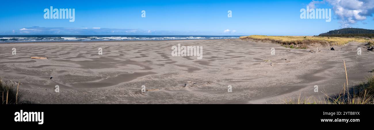 Panorama des treibenden Sandes von Benson Beach in der Herbstsonne im Cape Enttäuschung State Park, Ilwaco, Washington, USA Stockfoto