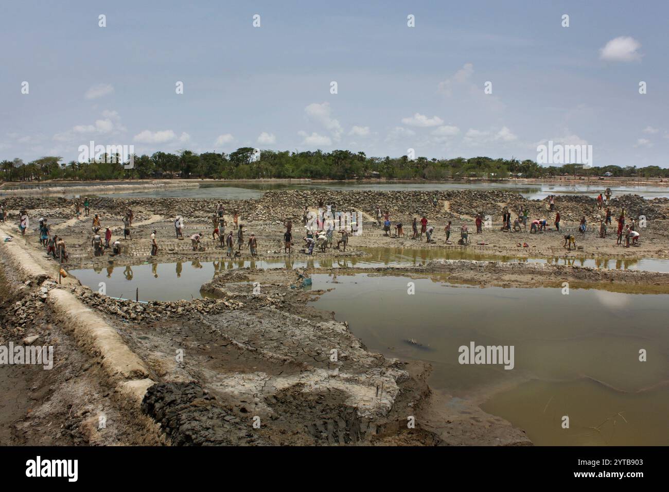 Die Bewohner von reparieren die Dämme, die durch den Zyklon Aila beschädigt wurden. Sundarban, Khulna, Bangladesch. Stockfoto