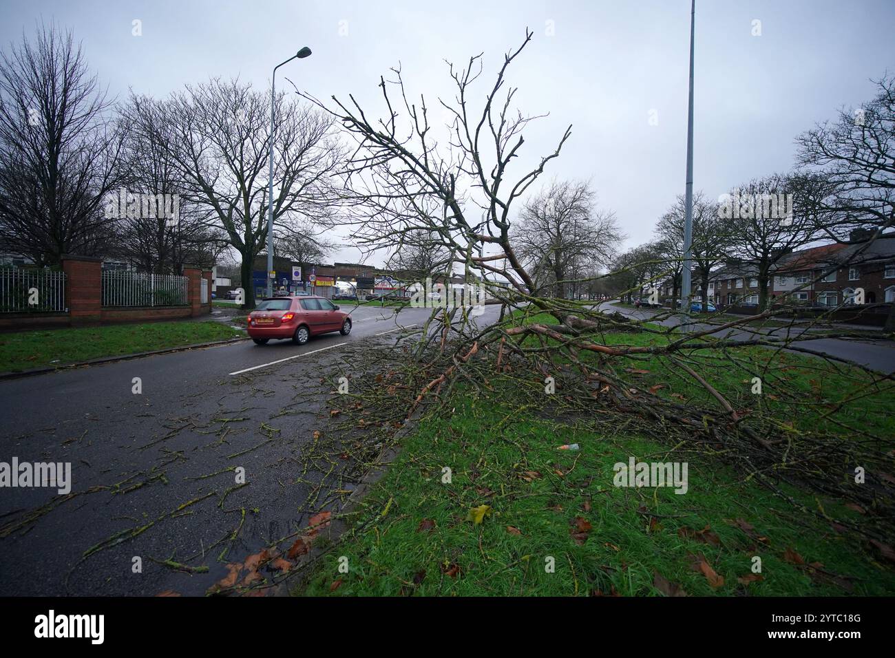 Ein umgestürzter Baum auf dem Queen's Drive in Liverpool. Millionen wurden gewarnt, drinnen zu bleiben, Tausende sind ohne Strom und Züge wurden gestrichen, als die von Sturm Darragh ausgelöste Warnung der Regierung wegen Lebensgefahr in Kraft trat. Bilddatum: Samstag, 7. Dezember 2024. Stockfoto