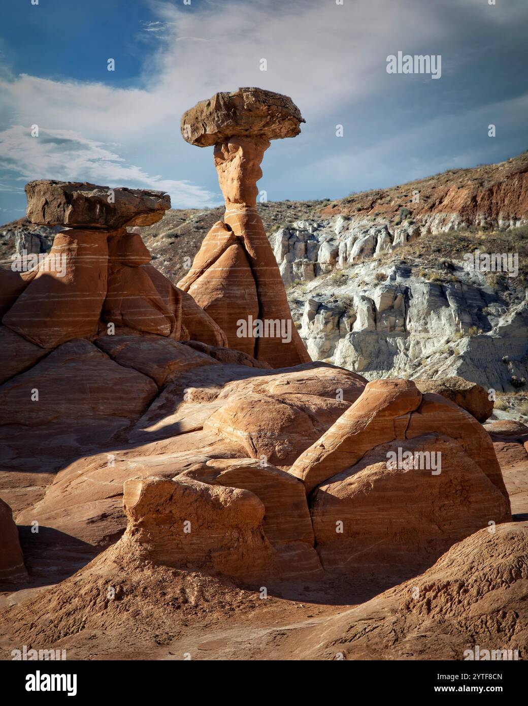 Die „Toadstools“ des Grand Staircase-Escalante National Monument, Utah, befinden sich auf BLM-Lands und sind eine faszinierende Ausstellung natürlicher Felsformationen. Stockfoto