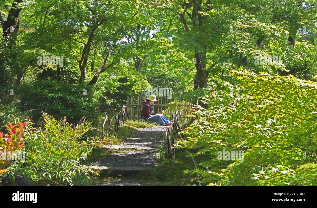 Eine junge Frau, die im Sonnenhut liest, umgeben vom hellen Grün eines ruhigen japanischen Gartens. Toji-in Tempelgarten Kyoto. Mai Stockfoto Eine junge Frau, die im Sonnenhut liest, umgeben vom hellen Grün eines ruhigen japanischen Gartens. Toji-in Tempelgarten Kyoto. Mai Stockfoto