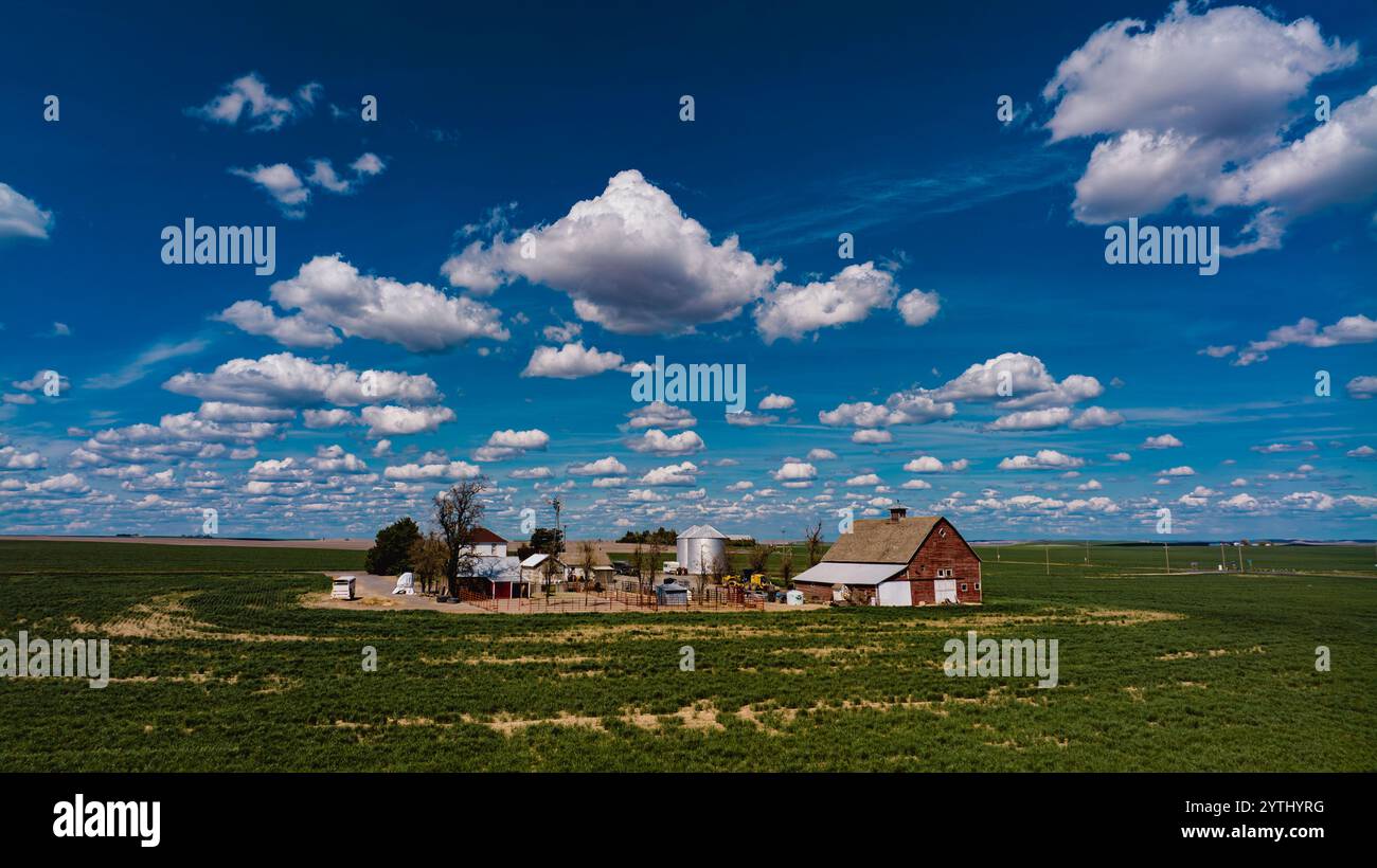 MAI 2024, SPOKEANE, WASHINGTON – PALOUSE – südlich von Ritzville, WA. Eine Farm mit Scheune, Pferden und blauem Himmel umgeben die Felder Stockfoto