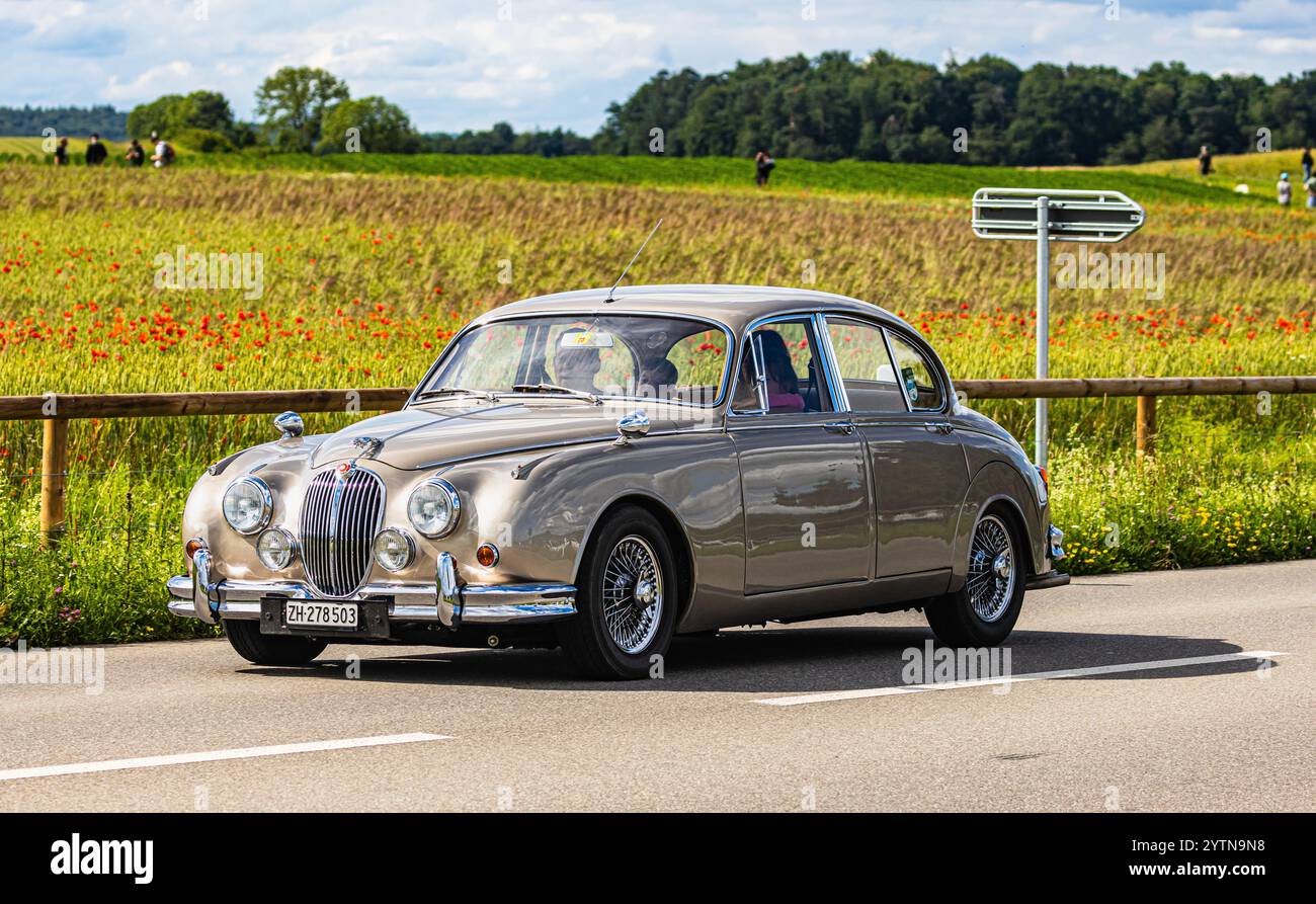 Oberglatt, Schweiz, 15. Juni 2024: Ein Jaguar Mk.2 aus dem Jahr 1964 fährt auf einer Straße außerhalb des Kantons Zürich. (Foto: Andreas Haas/dieBildma Stockfoto