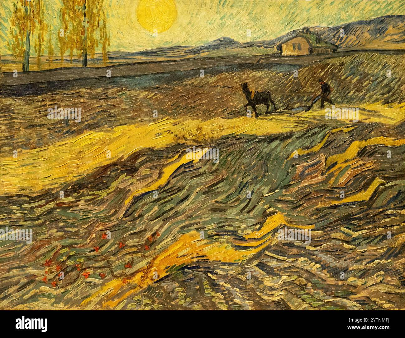 Van Gogh Malte Diese Bäume Häufig Malerei vincent van gogh bauer -Fotos und -Bildmaterial in hoher