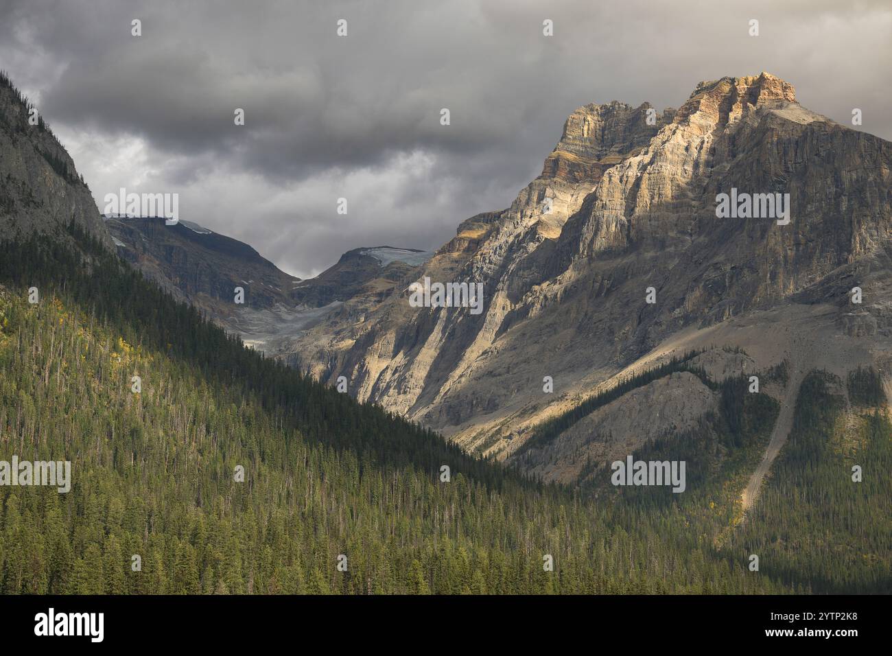 Sturmwolken über den Gipfeln und dem Tal der kanadischen Rocky Mountains vom Emerald Lake im Yoho National Park Stockfoto