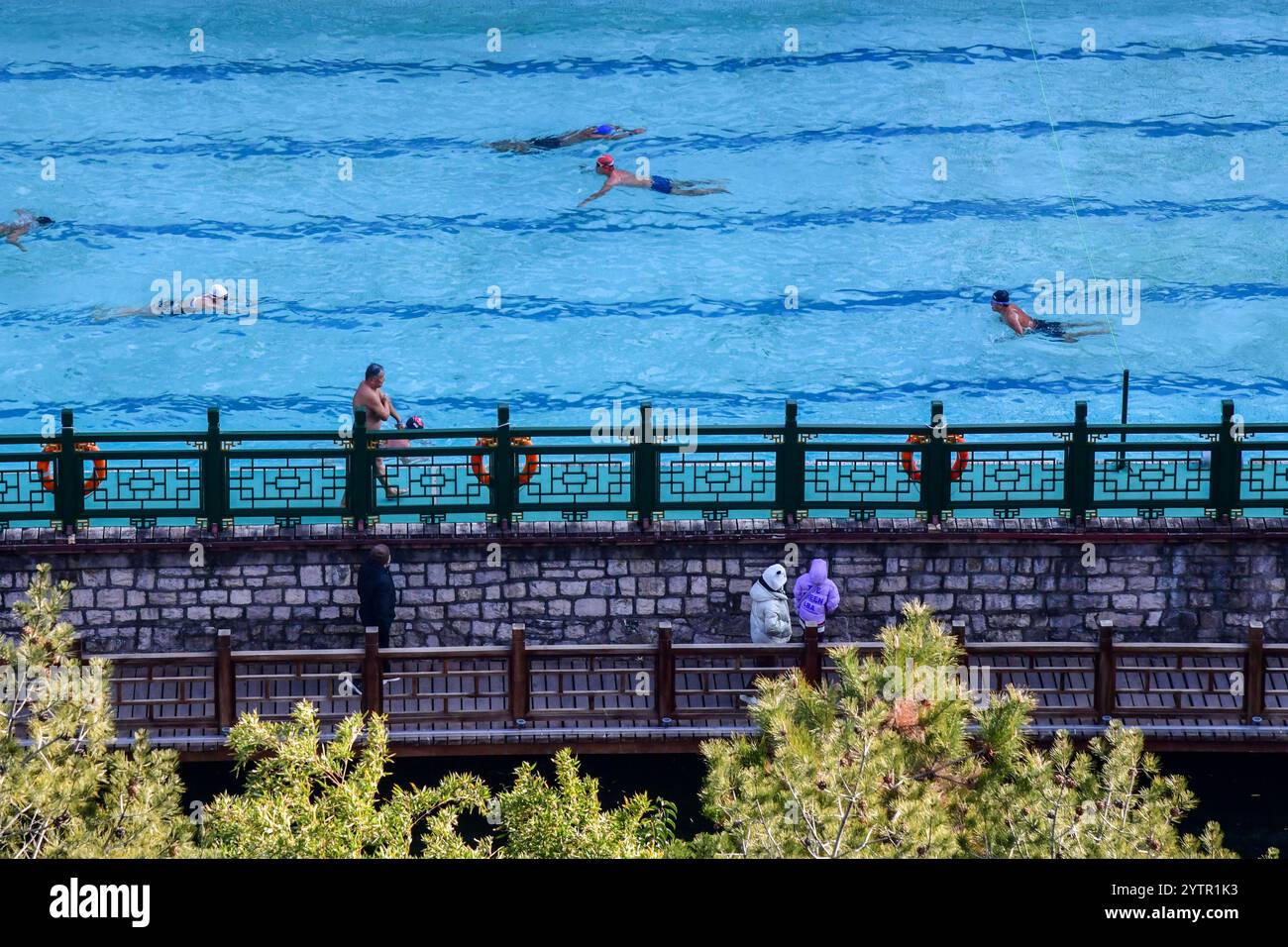 Peking, Chinas Provinz Shandong. Dezember 2024. Winterschwimmer schwimmen in einem Quellwasserpool im Freien in der Stadt Jinan, ostchinesischer Provinz Shandong, 7. Dezember 2024. Quelle: Zhu Zheng/Xinhua/Alamy Live News Stockfoto